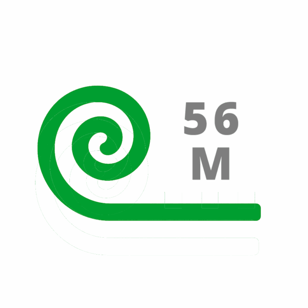 56