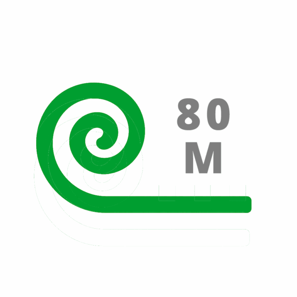 80
